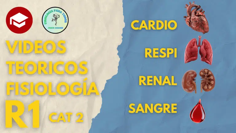Videos teoricos - Fisiología - Imagen 3