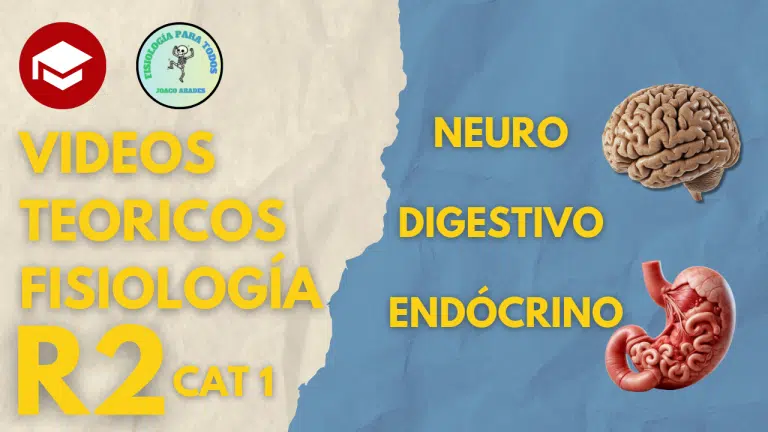 Videos teoricos - Fisiología - Imagen 4