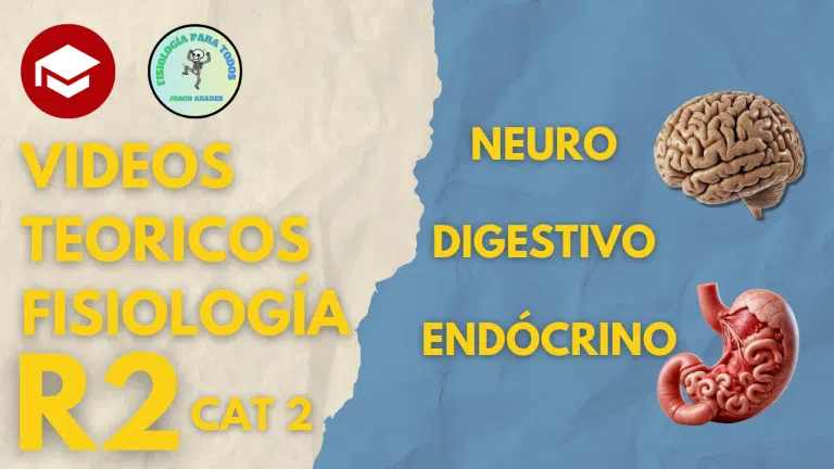 Videos teoricos - Fisiología - Imagen 5