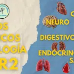 Videos teoricos - Fisiología
