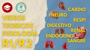 Videos teoricos - Fisiología